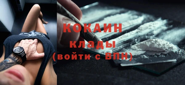 ГАЛЛЮЦИНОГЕННЫЕ ГРИБЫ Арсеньев