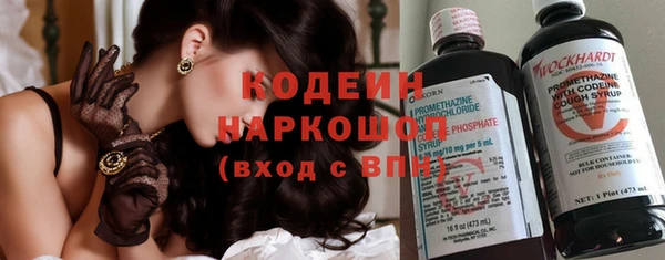 ГАЛЛЮЦИНОГЕННЫЕ ГРИБЫ Арсеньев