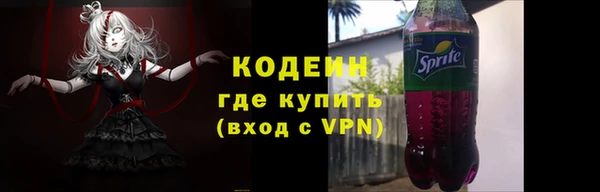 ГАЛЛЮЦИНОГЕННЫЕ ГРИБЫ Арсеньев