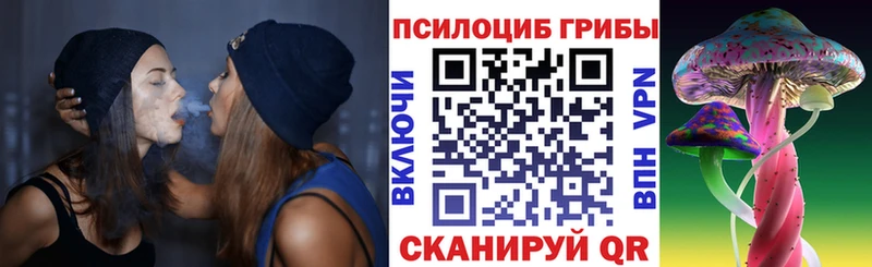 где продают   Козьмодемьянск  Галлюциногенные грибы прущие грибы 
